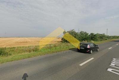 Teren extravilan de vanzare drumul Arad-Sofronea - 3