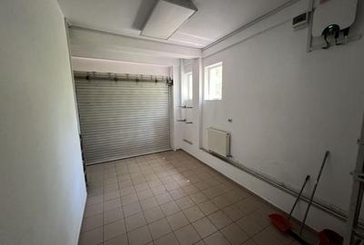 Zona Iancu Nicolae / Vilă cu grădină generoasă și piscină - 25