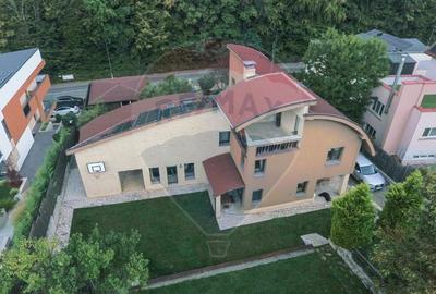Vila spectaculoasa de vanzare in Faget - 19