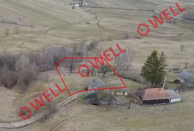 Teren de 5800 mp, în Barcani - 5