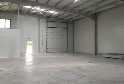 Spatiu de depozitare si productie Chitila - Rudeni - 2