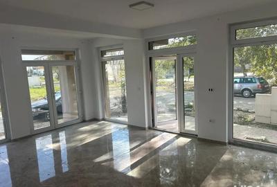 Inchiriere spa?iu comercial Giroc (langa Uzina de Apa) - 3