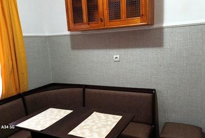 Apartament cu 2 camere, complet renovat, vedere superbă Băile Herculane - 7