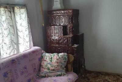 Casa batraneasca , foisor si teren de vanzare - 3
