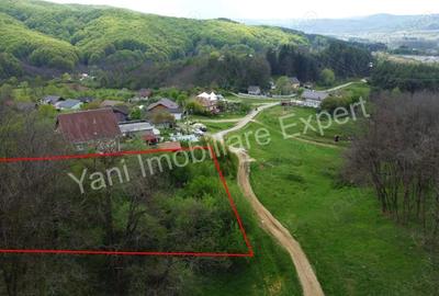 Teren de vanzare in Curtea de Arge?, strada Paune?ti. - 7