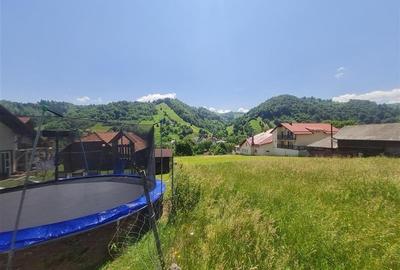 FILM!View superb catre munti,teren pretabil constructie Hotel,4.400 mp, Moieciu - 31