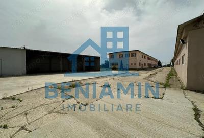 Hale 9000mp-Teren 24.000mp-Industrial-Dolj-Curent Trifazic-Investitie - 4