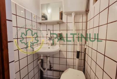 Casă singur în curte, 1.310 mp teren – Gusterița, garaj, pivniță, grădină - 12