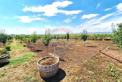 Casa cu teren de vanzare Casa cu teren de vanzare - 12