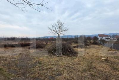 Casă cu 4 camere cu Teren 4000 Mp în Central - 3