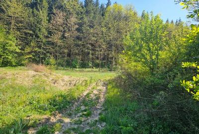 Teren Construcții intravilan de 3128 mp, în Luncani - 2