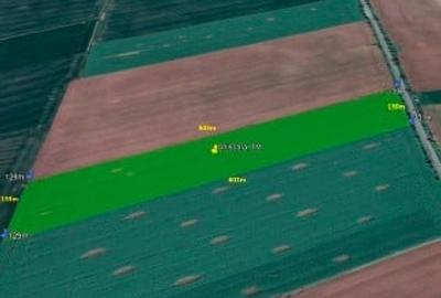 Teren agricol extravilan de 72800 mp, în Orțișoara - 1