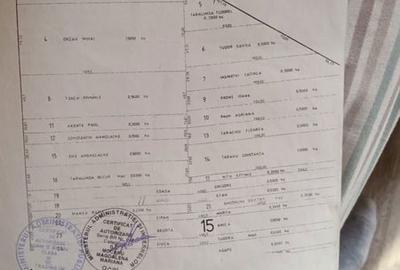 Spațiu comercial, în Central - 1