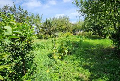 Teren intravilan, 1195mp, utilitati, la liziera padurii, parau, Faget Teren intravilan, 1195mp, utilitati, la liziera padurii, parau, Faget - 3