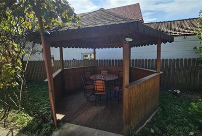 Casa 2 camere,curte si gradina Dambul Rotund, zona Rompetrol_PET FRIENDLY - 3