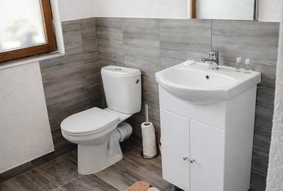 Casă cu Teren 621 Mp în Izbita - 4