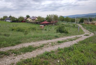 Teren Construcții intravilan de 540 mp, în Miroslava - 4