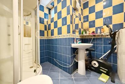 Penthouse 5 camere, 194mp utili, zona Colegiul National Banatean - 18