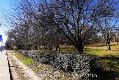 Spațiu comercial, în Cremenari - 10