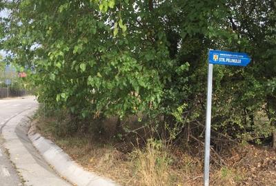 Teren agricol extravilan de 2250 mp, în Budești