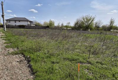 Spațiu comercial, în Cocani - 4