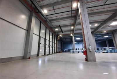 Spatiu Industrial - 5300 mp - Logistica - Productie - Depozitare - Distributie - 18