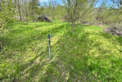 Spațiu comercial, în Cucuteni - 2