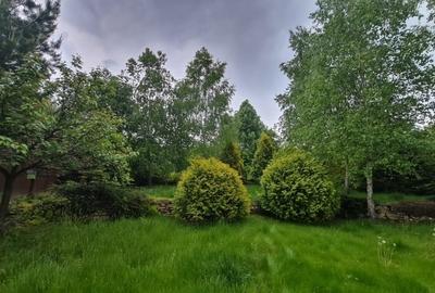 Casă individuală cu 5 camere în Pietrărie - 5