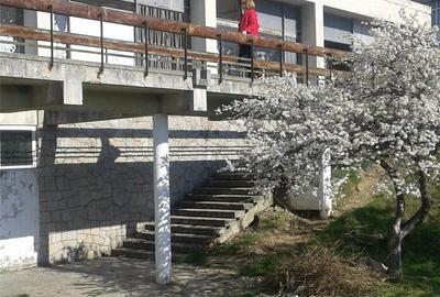 Spațiu comercial, de 250 mp, în Gura Văii - 7