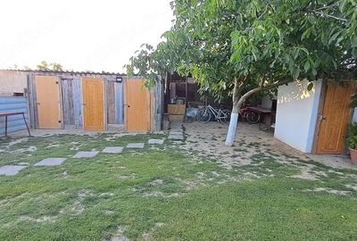 Casă cu Teren 1439 Mp în Banloc