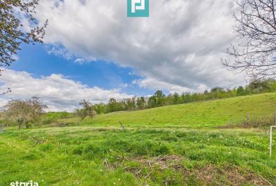 Casă cu 2 camere cu Teren 17681 Mp în Almaș - 7