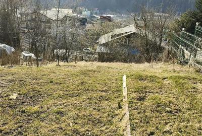 Teren de 439 mp, în Zamora - 3