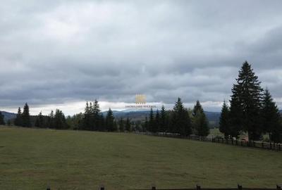 Teren 2804 mp, la munte! In Bucovina Fundu Moldovei! - 21