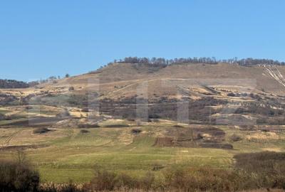 5 terenuri extravilane agricole cu suprafata totala de 13.37 - 1