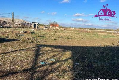 Teren industrial si o constructie pe structura metalica - 3