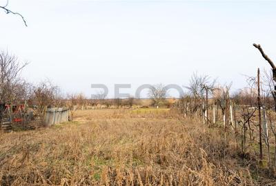 RECO Casa cu teren 3036mp, Bors - 1