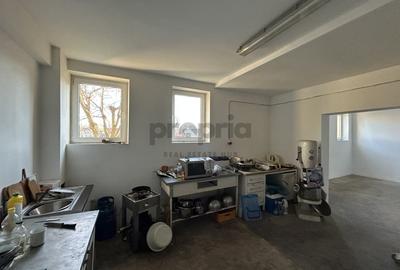 IMOBIL CU MULTIPLE DESTINAȚII - PRETABIL INVESTIȚIE - ORAȘ RUPEA - 0% COMISION - 13