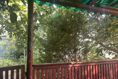 Casă cu 3 camere în Mahmudia - 3