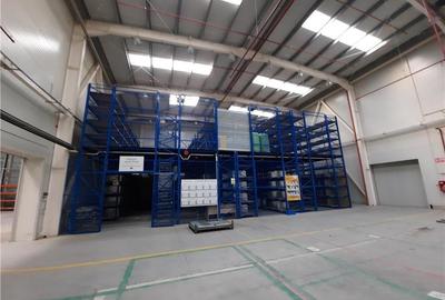 Spatiu Industrial - 3500 mp - Productie - Depozitare - Logistica - Distributie - 9