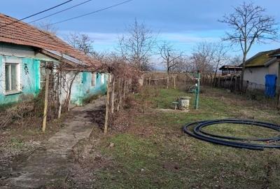 Teren Construcții intravilan de 4800 mp, în Deveselu - 2