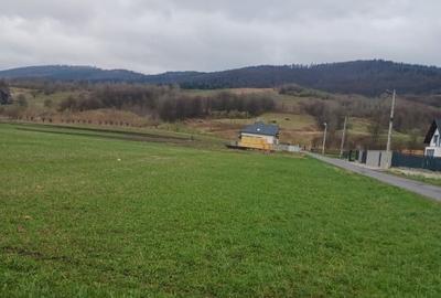 Teren Construcții intravilan de 3000 mp, în Bivolăria - 4