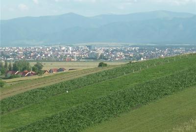Teren agricol extravilan de 5000 mp, în Șura Mare - 3