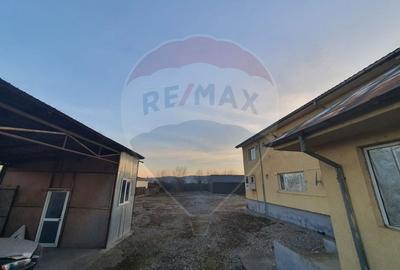 HALA SI SPATII COMERCIALE - DN15-BUHUSI- BACAU - 6