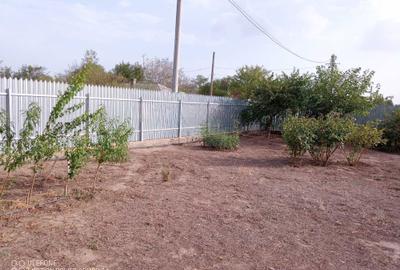 Spațiu comercial, în Vasile Alecsandri - 1