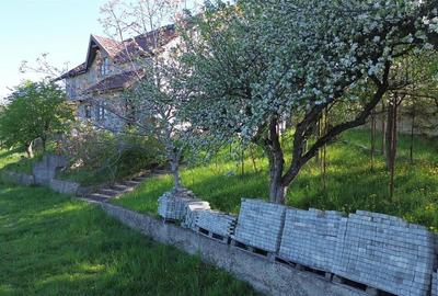 Teren Construcții intravilan de 4863 mp, în Adâncata - 12