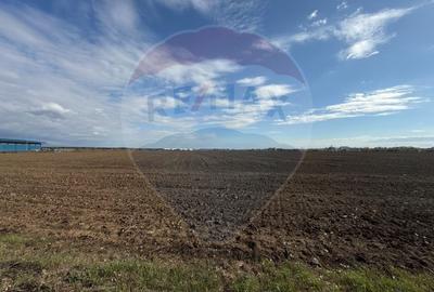 Teren Construcții intravilan de 26243 mp, în Periferie - 2