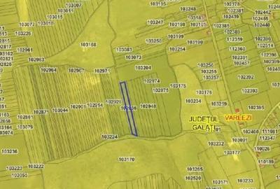 Teren de 6000 mp, în Vârlezi - 3