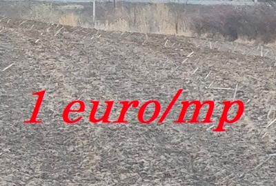 Teren agricol extravilan de 2400 mp, în Central - 2