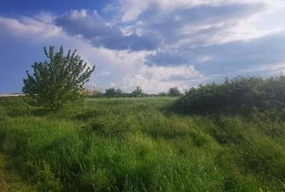 Teren intravilan 5 hectare comasat Bocsa 6 euro mp negociabil - 13