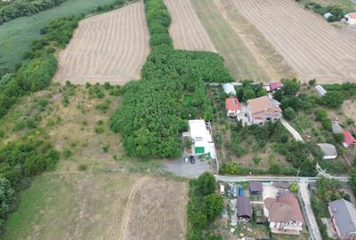 Casa de vacanta / spatiu comercial de vanzare – Frumusani - 5